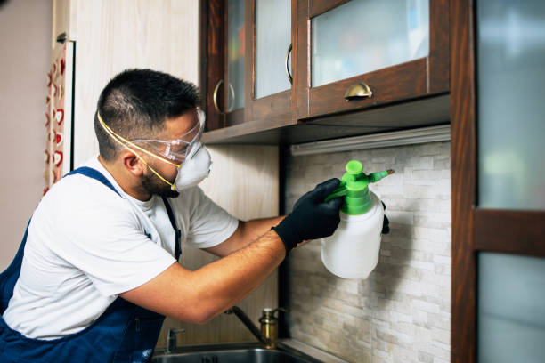 Best Affordable Exterminators  in Monroe, IA