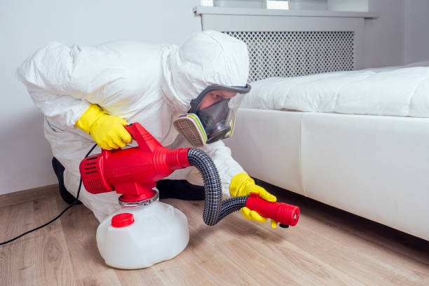 Best Affordable Pest Control Services  in Monroe, IA