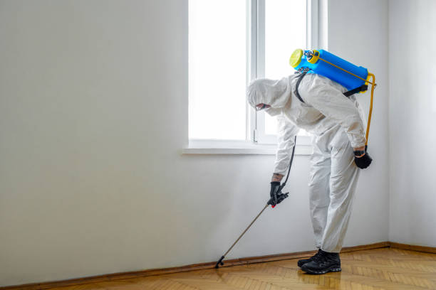 Best Residential Pest Control  in Monroe, IA