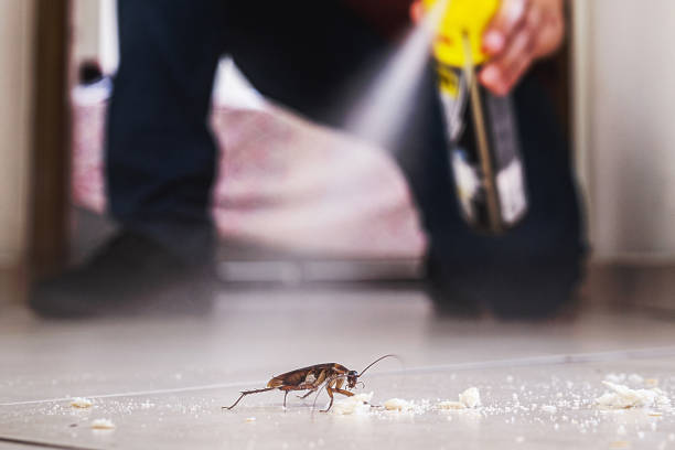 Best Best Pest Control Companies  in Monroe, IA